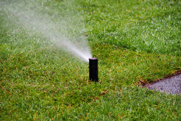 Water sprinkler on freshly laid grass